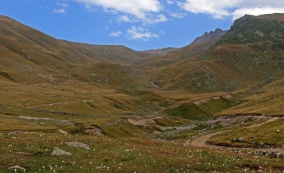Çamlık Yaylası